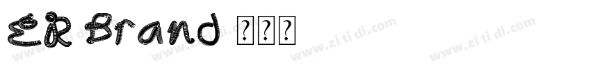 ER Brand字体转换